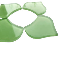 Solz de pește mare – verde proaspăt