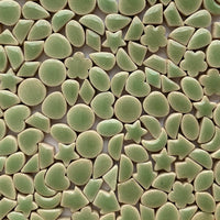 Ciondoli Mini Verde — Mosaicshop