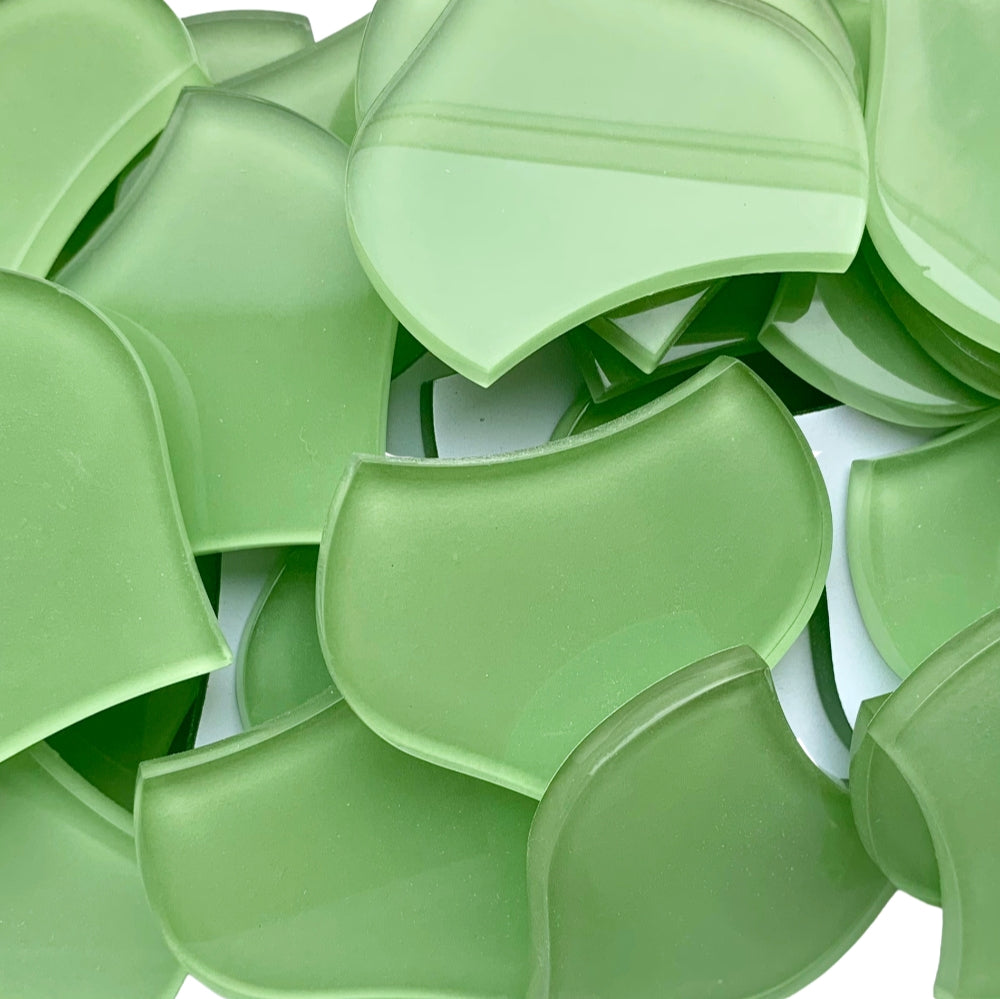 Solz de pește mare – verde proaspăt