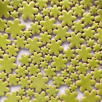 Charms flori – kiwi