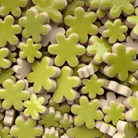 Charms flori – kiwi