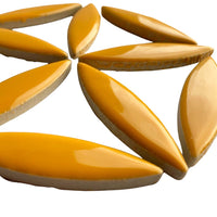 Elipsă – curry