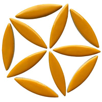 Elipsă – curry