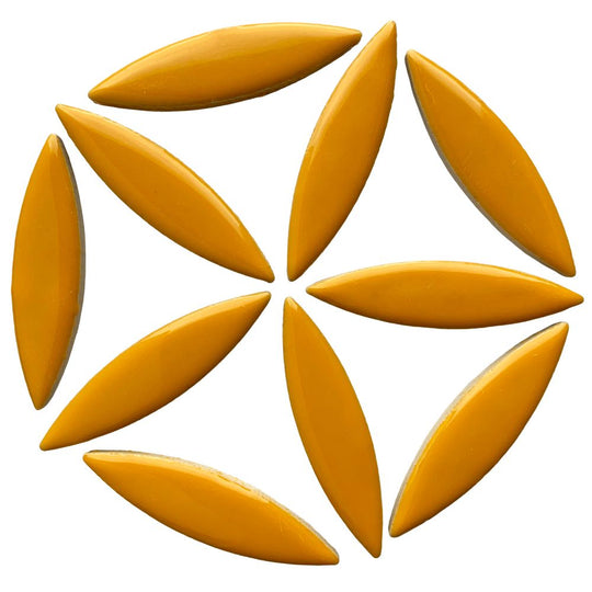 Elipsă – curry
