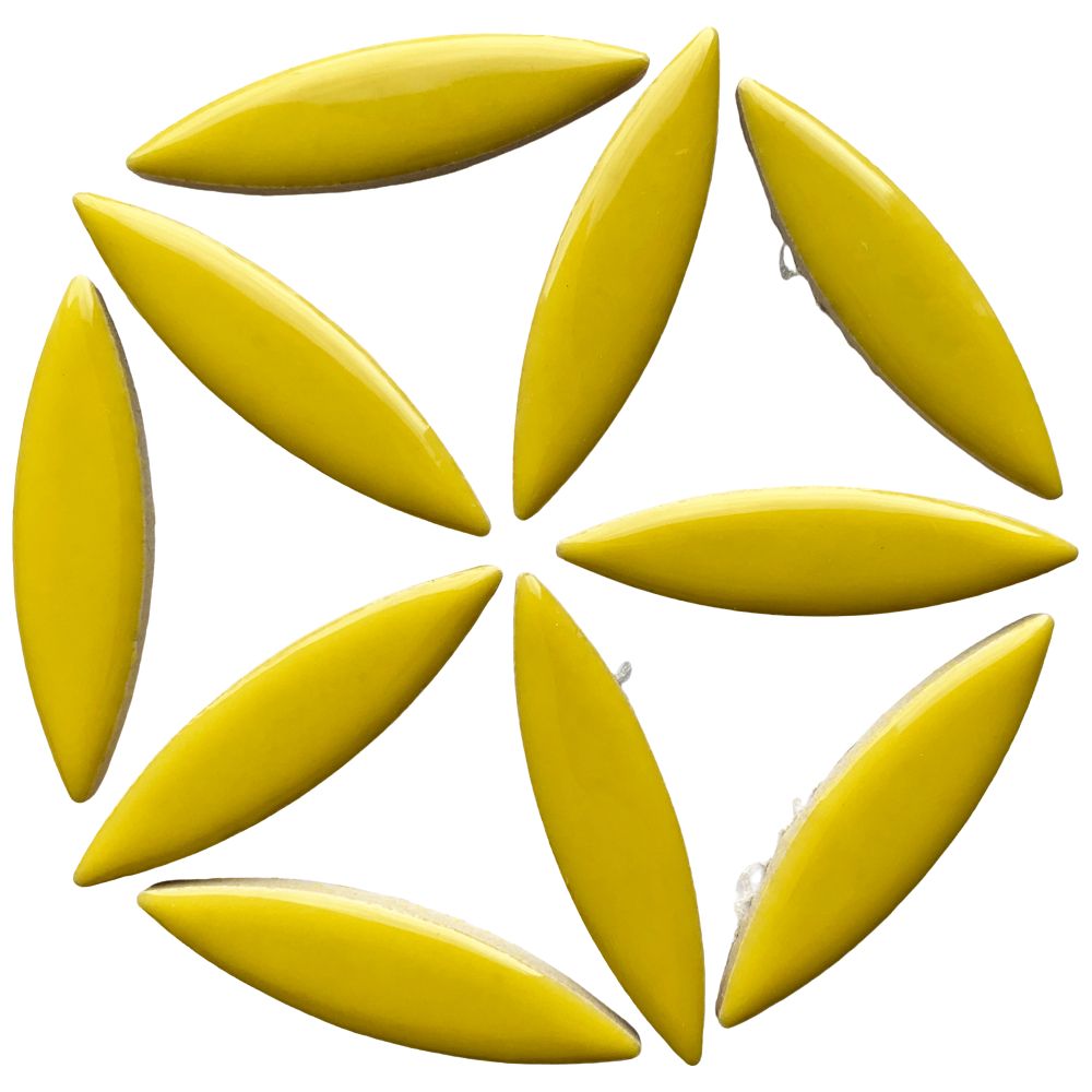 Elipsă – lămâie