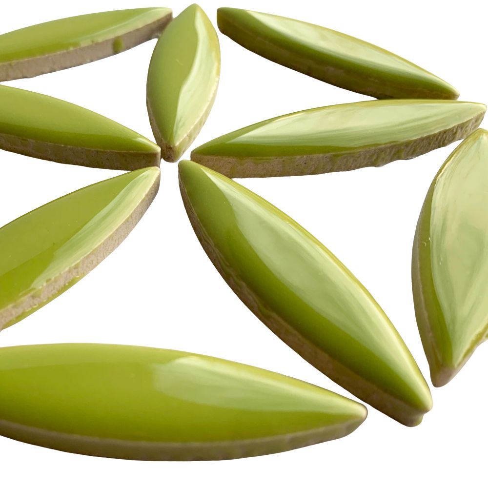 Elipsă – kiwi
