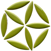 Elipsă – kiwi