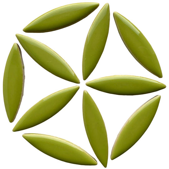 Elipsă – kiwi