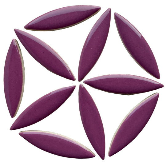 Elipsă – purpuriu