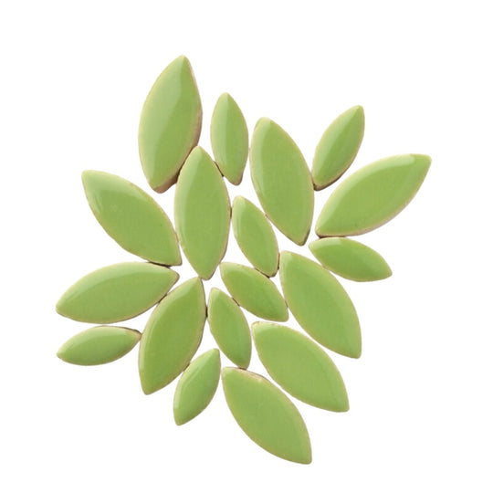 Petale – kiwi