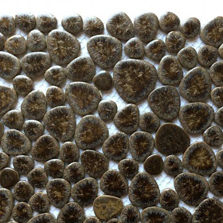Pietricele – scoarță — Mosaicshop