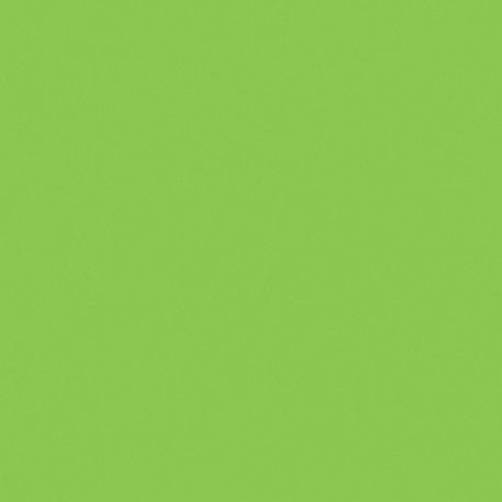 Mosa-17900 – Macaw Groen 15cm