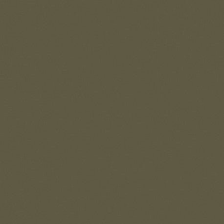 Mosa-20960 – Beuk 15cm — Mosaicshop