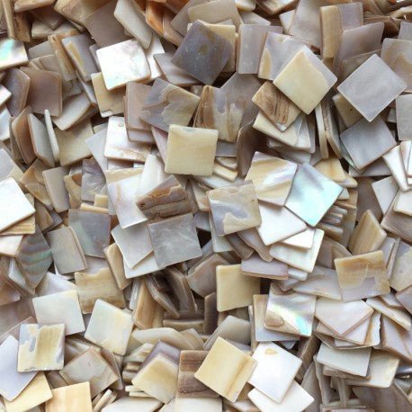 Sidef din scoică 15mm — Mosaicshop